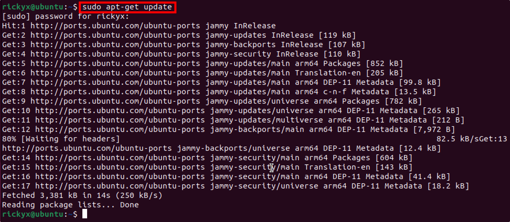 sudo apt-get update